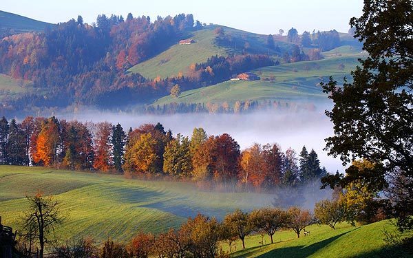 網(wǎng)站內(nèi)容測(cè)試，請(qǐng)及時(shí)刪除！